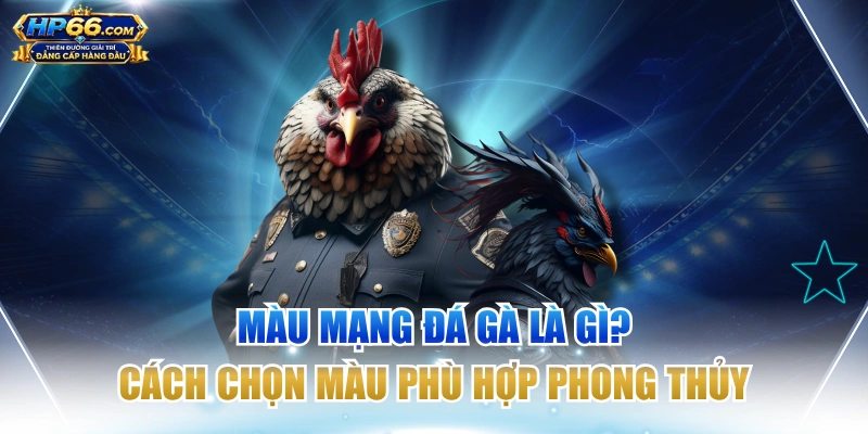 Màu Mạng Đá Gà Là Gì? Cách Chọn Màu Phù Hợp Phong Thủy