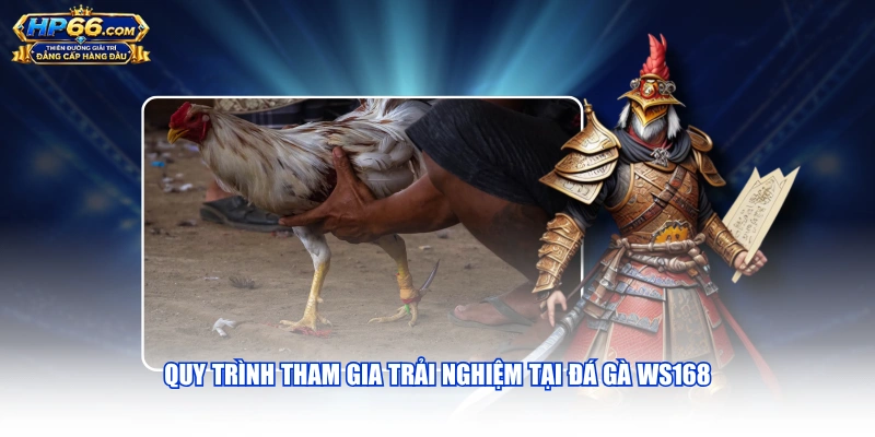 Quy trình tham gia trải nghiệm tại Đá Gà WS168