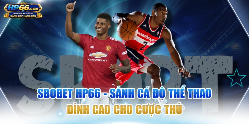 SBOBET HP66 - Sảnh Cá Độ Thể Thao Đỉnh Cao Cho Cược Thủ